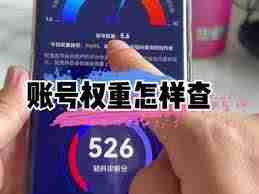 轻抖如何查询抖音权重