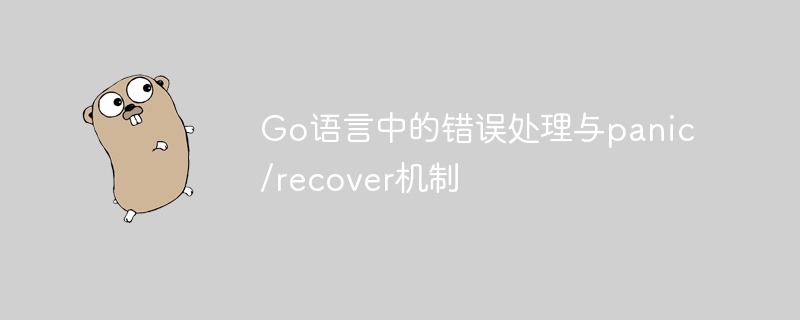 Go语言错误处理与panic recover详解