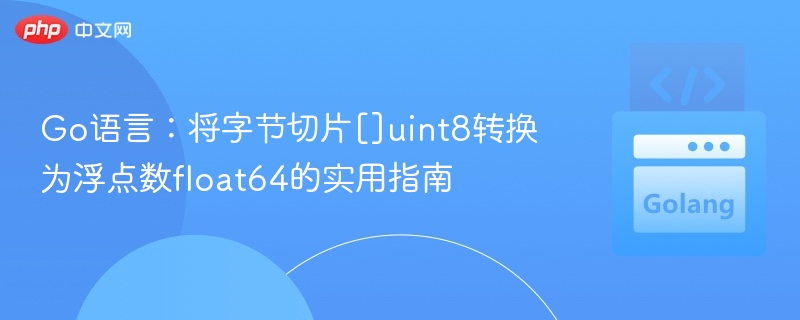Go语言：[]uint8转float64方法详解
