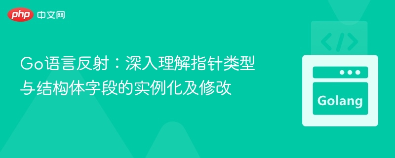 Go反射：指针与结构体字段实例化详解