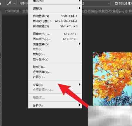Photoshop变量可见性设置方法