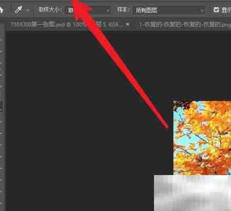 Photoshop变量可见性设置方法