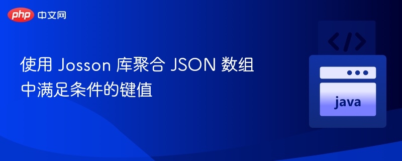 Josson聚合符合条件的JSON键值方法