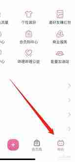 bilibili会员购入口在哪里