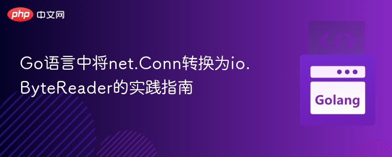 Go中net.Conn转io.ByteReader方法详解