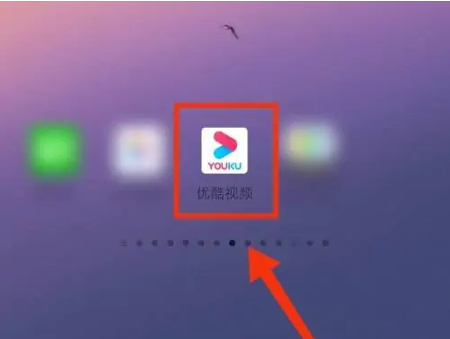 优酷app如何查看会员到期 优酷视频看会员到期时间教程
