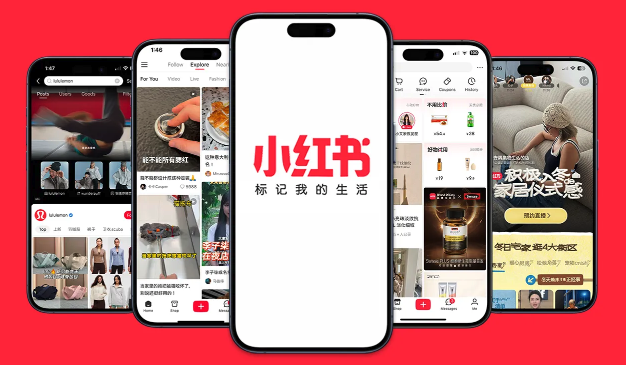 小红书官网网页访问_小红书在线登录入口