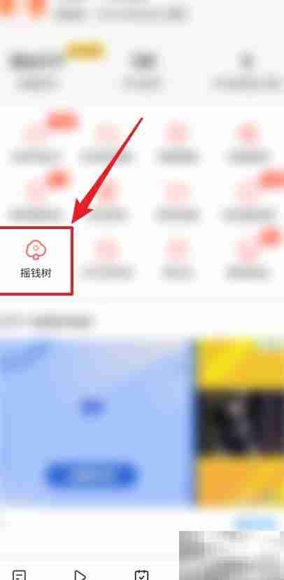 趣看看摇钱树位置揭秘