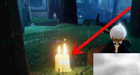 光遇6.3雨林蜡烛速刷攻略