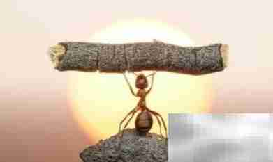 销售团队月度工作计划