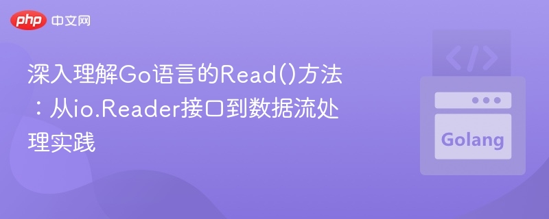 Go语言Read()方法详解与实战应用