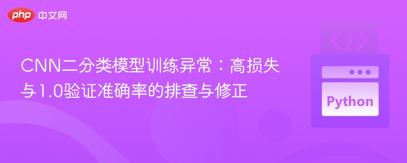 CNN二分类模型异常排查与修复指南