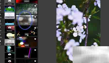 Pixlr Shine滤镜使用技巧