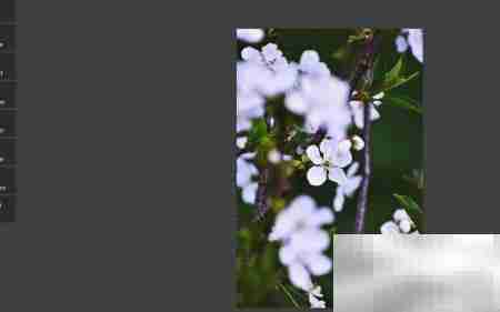 Pixlr Shine滤镜使用技巧