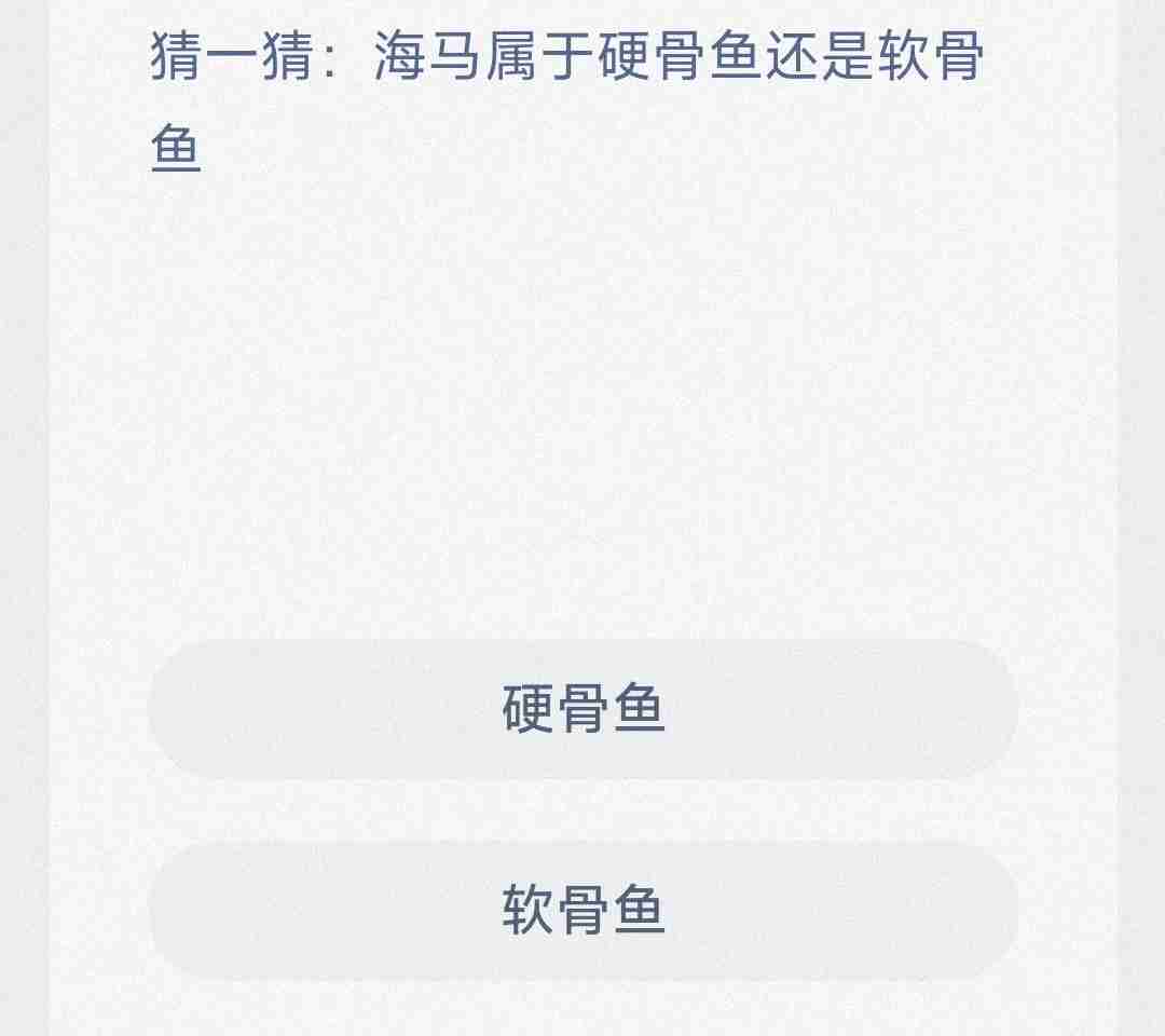 猜一猜海马属于硬骨鱼还是软骨鱼