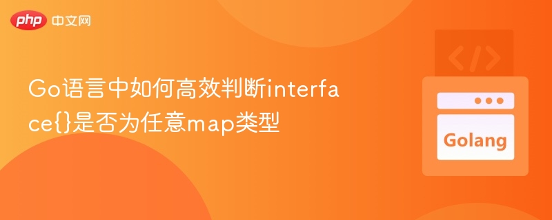 Go语言中如何高效判断interface{}是否为任意map类型