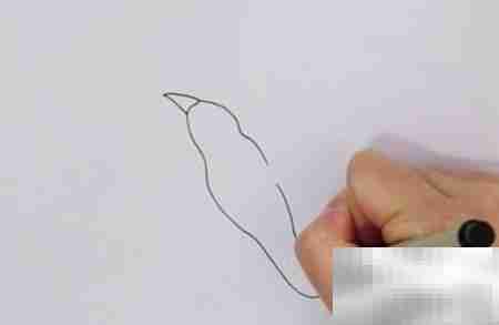 海鸥简笔画教程