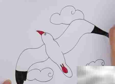海鸥简笔画教程