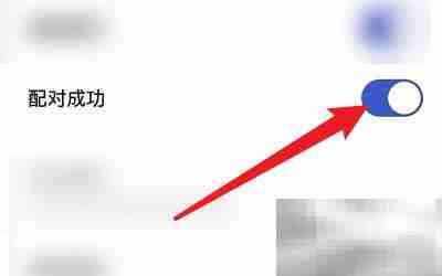 开启REAL配对成功提示方法