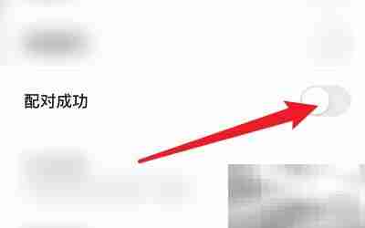 开启REAL配对成功提示方法