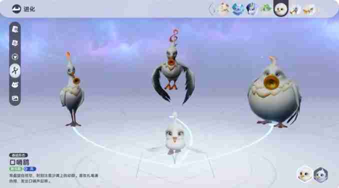 《伊莫》口哨鸥介绍