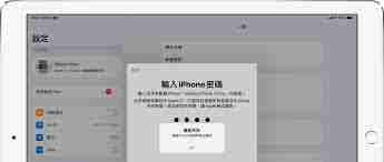 Apple账户验证一直弹出怎么办