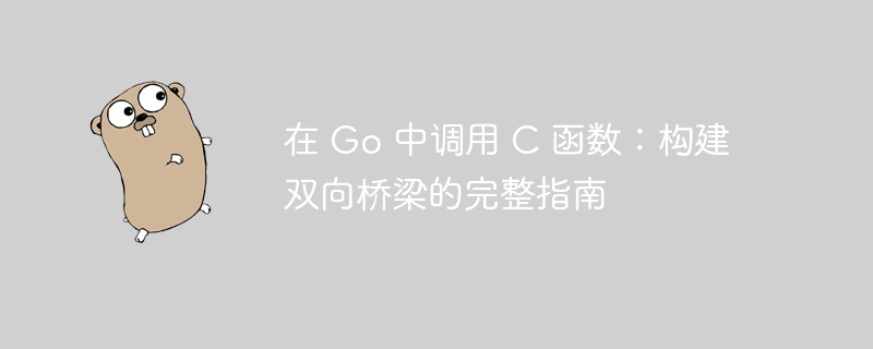 Go 调用 C 函数的完整方法详解