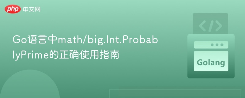 Go语言math/big.Int.ProbablyPrime使用教程