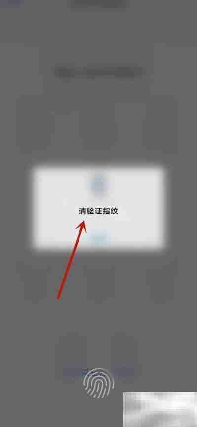 个税首页常用业务设置指南