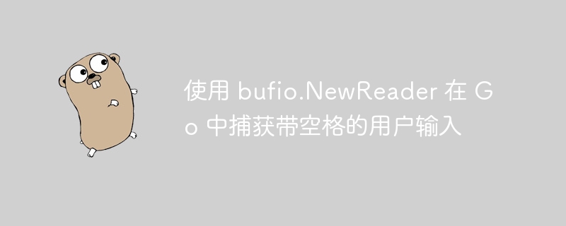 使用 bufio.NewReader 在 Go 中捕获带空格的用户输入