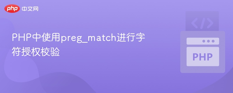 PHP正则校验字符权限方法详解