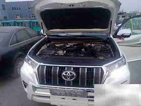 动力肉是什么？揭秘背后含义