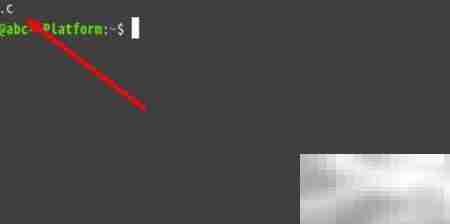 Linux文件存在却找不到？