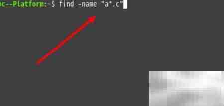 Linux文件存在却找不到？