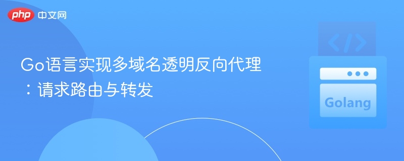 Go语言实现多域名透明反向代理：请求路由与转发