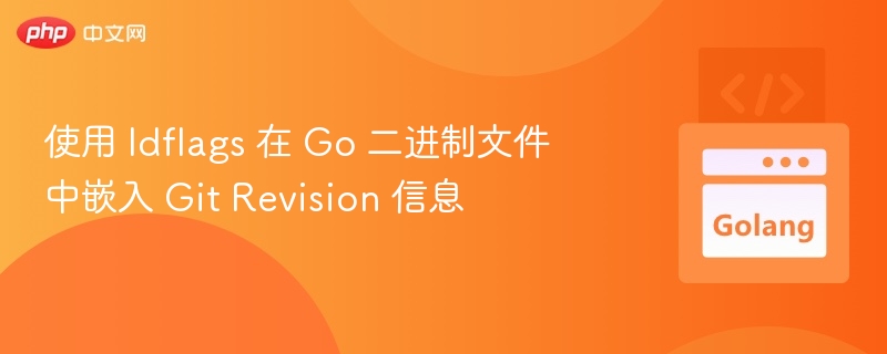 Go 二进制嵌入 Git 提交信息方法