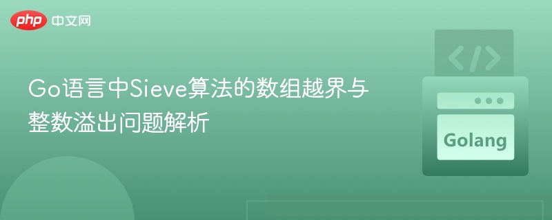 Go语言Sieve数组越界与溢出分析