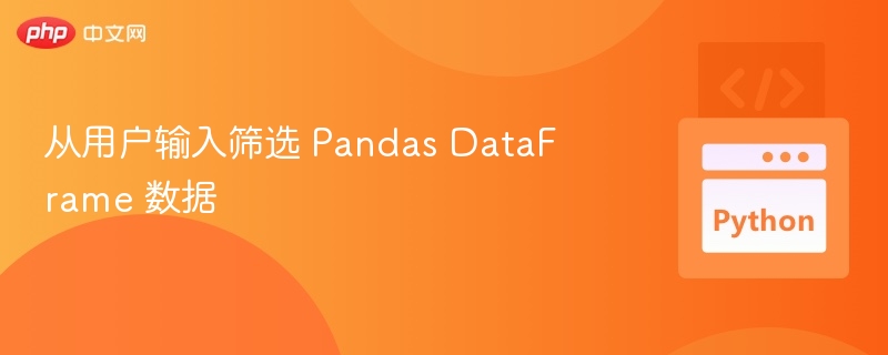 从用户输入筛选 Pandas DataFrame 数据