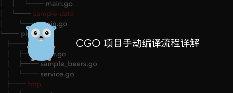 CGO项目手动编译步骤详解