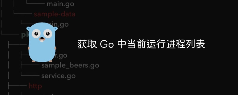 Go 获取当前进程列表方法