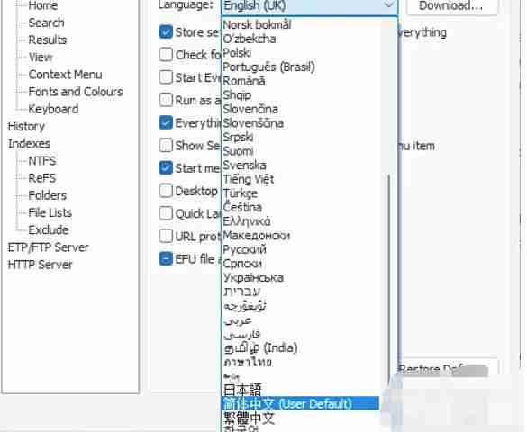 EveryThing怎么设置成中文-EveryThing设置成中文的方法