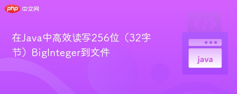 Java高效读写256位BigInteger到文件
