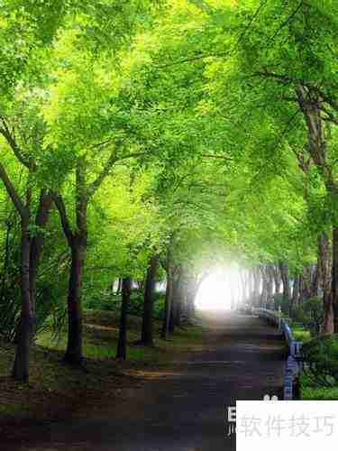 学会这招，轻松更换U盘图标！