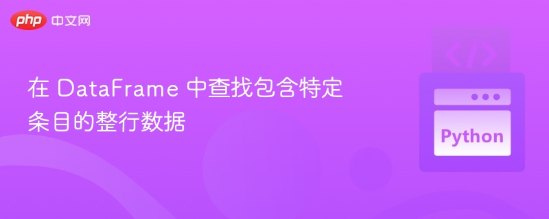 DataFrame 查找特定行数据方法