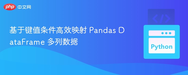 基于键值高效映射 Pandas 多列数据