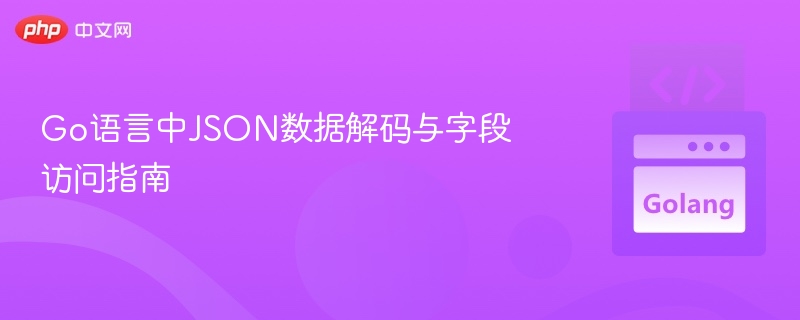 Go语言JSON解码与字段访问详解