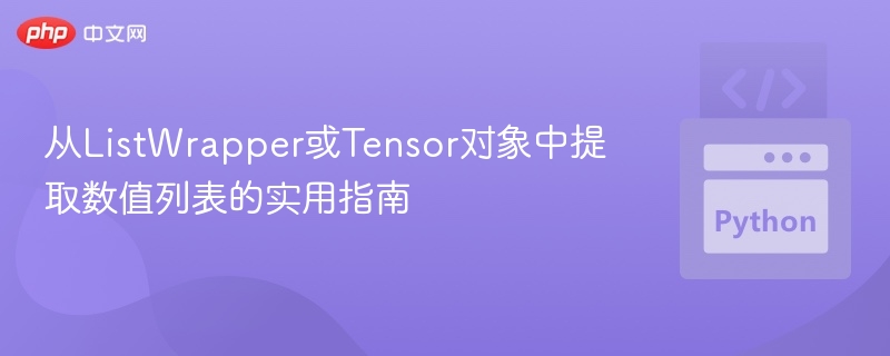 从ListWrapper或Tensor中提取数值的技巧