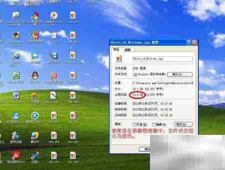 BMP转JPG:快速格式转换