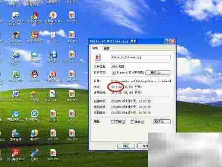 BMP转JPG:快速格式转换