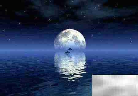 万里天波一月波含义解析